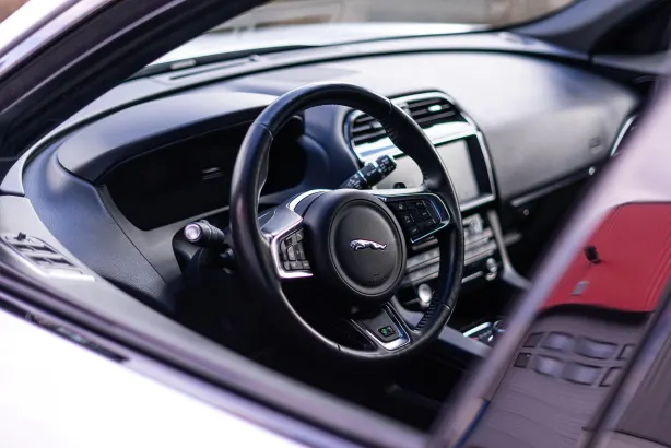 엘유씨와이 카지노 안드로이드/iOS 앱